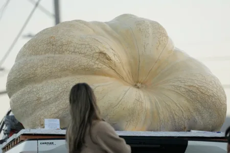 3,156-pound pumpkin grown in Rhode Island is inspected for possible world record